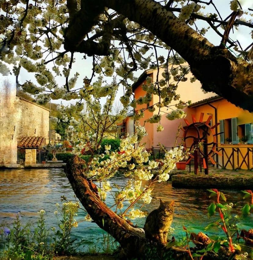 Agriturismo Pettino Кампело сул Клитуно Екстериор снимка